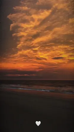 🤍✨
