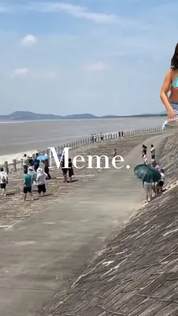 MEME