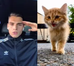 Salute Meme 🫡