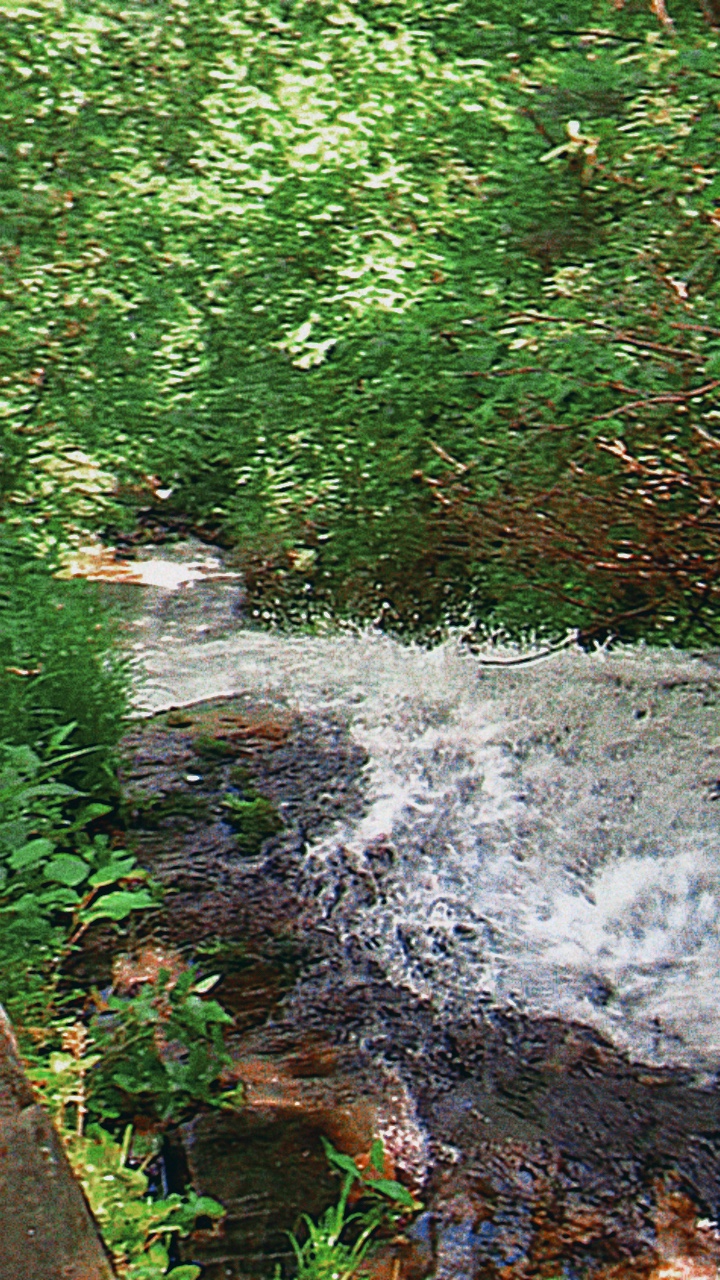 Naturaleza