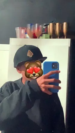 audio bh 