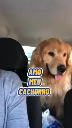Amo meu cachorro 
