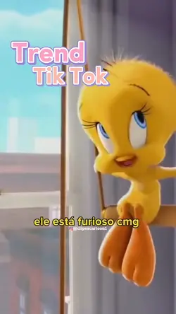 Acho q eu vi um 🐱 