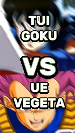 GOKU Vs VEGETA 