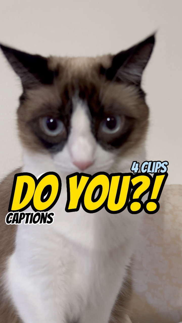 Do you?!