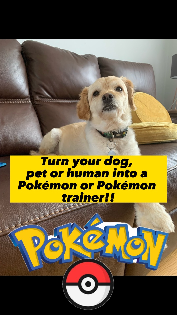 Pokémon pet filter 