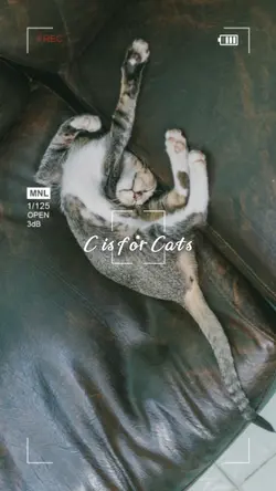 Q is for quiet trend