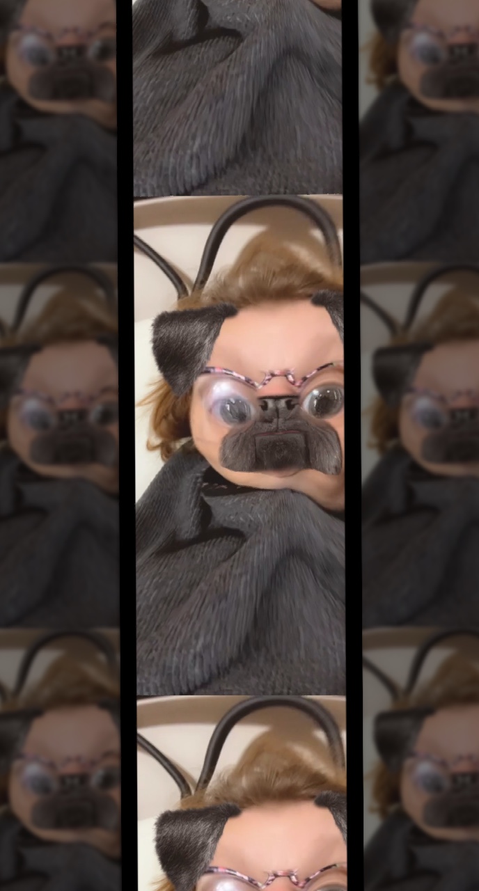 Köpek 