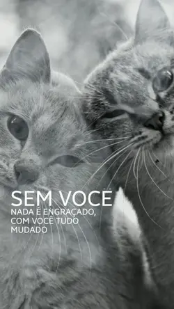Google da minha vida