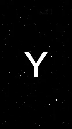 Ver Y