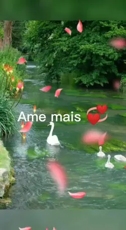 Ame mais