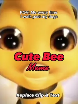 Cute Bee Meme
