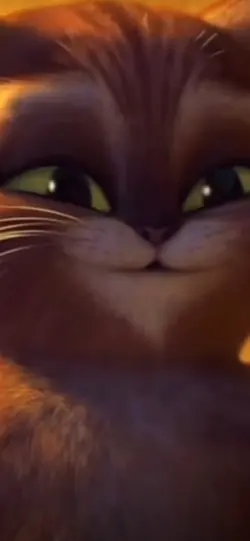 BMW LOVE 