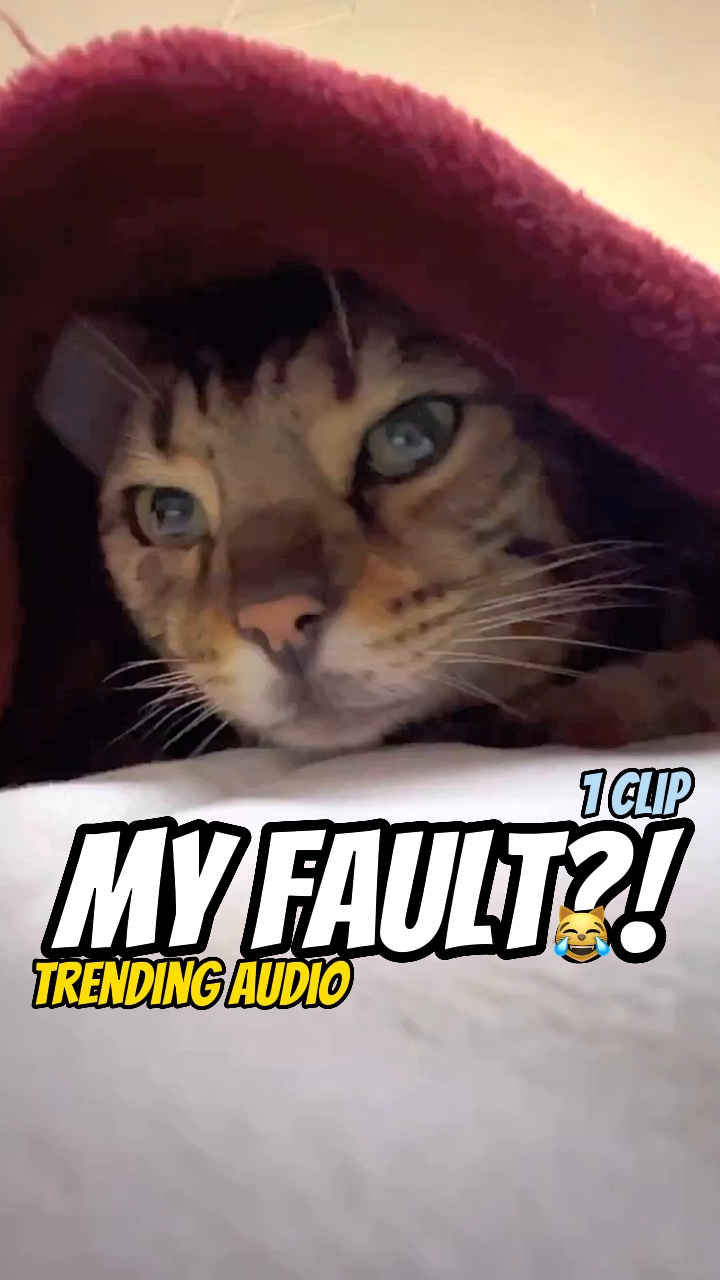 My fault?!