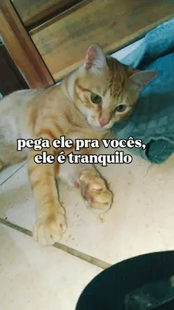 pega ele pra vocês.