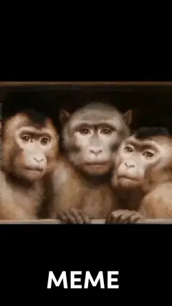 MEME