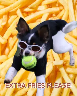 EXTRA FRIES PLEASE!