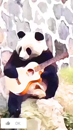 panda