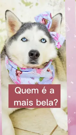 Quem é a mais bela??