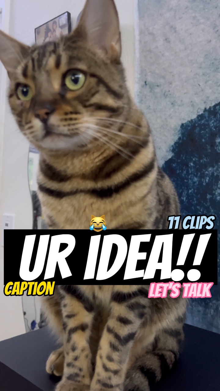 Your idea!! 