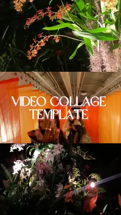 Video Collage Temp