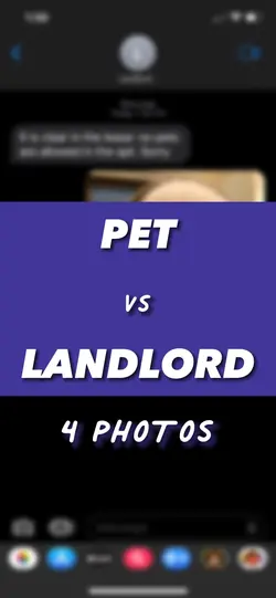 Pet vs Landlord Meme