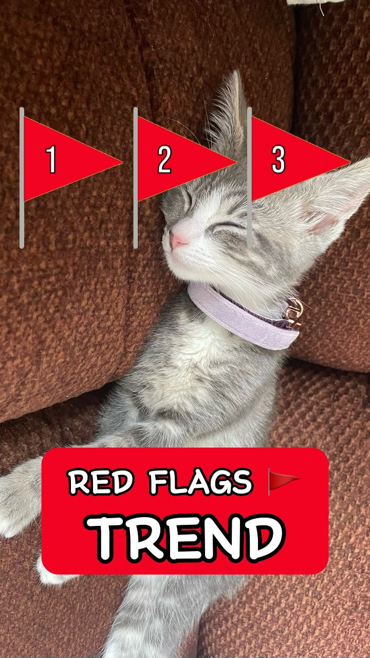 Bandeiras vermelhas 🚩