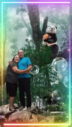 edit/panda