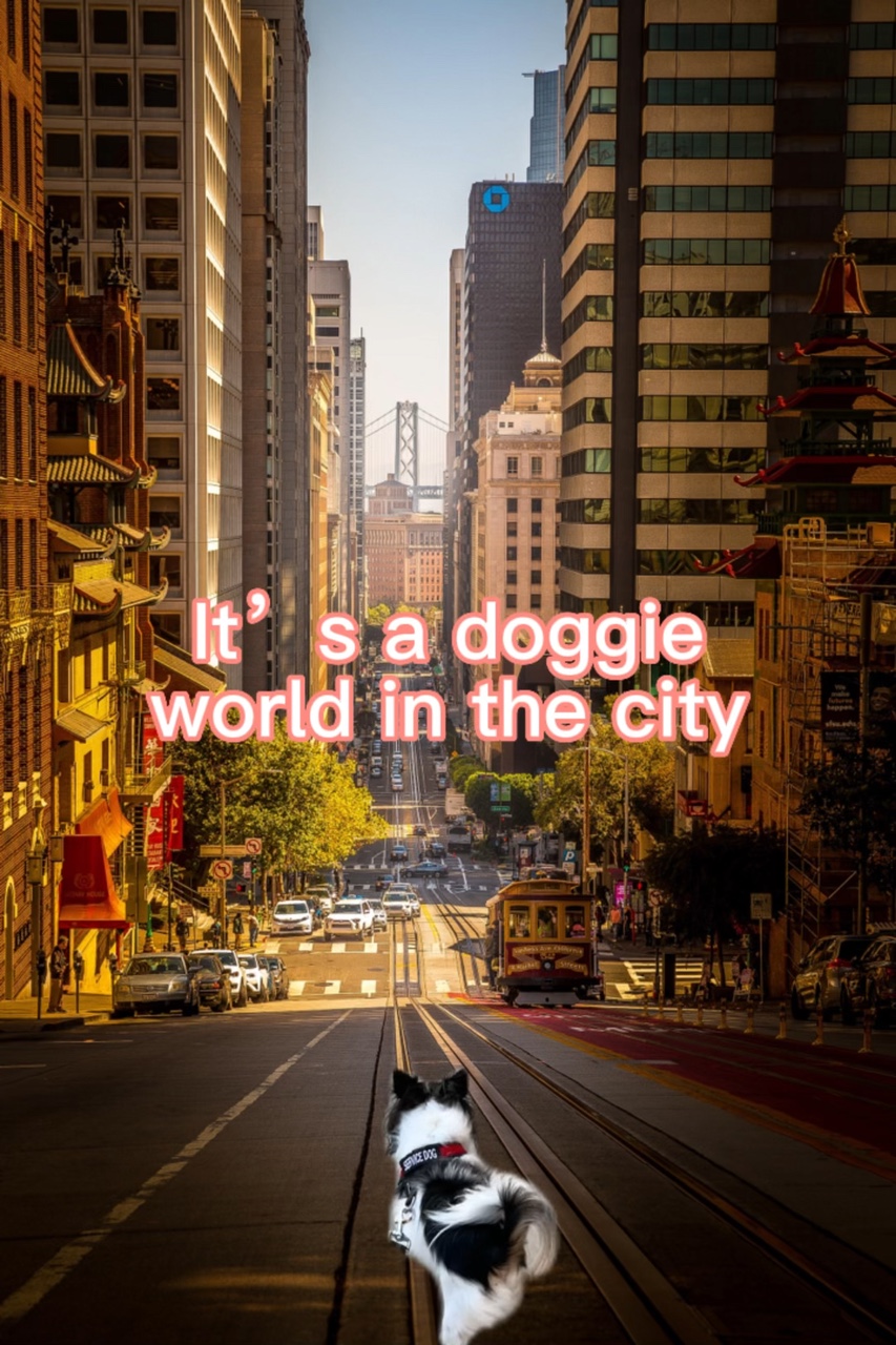 It’s a doggie world 