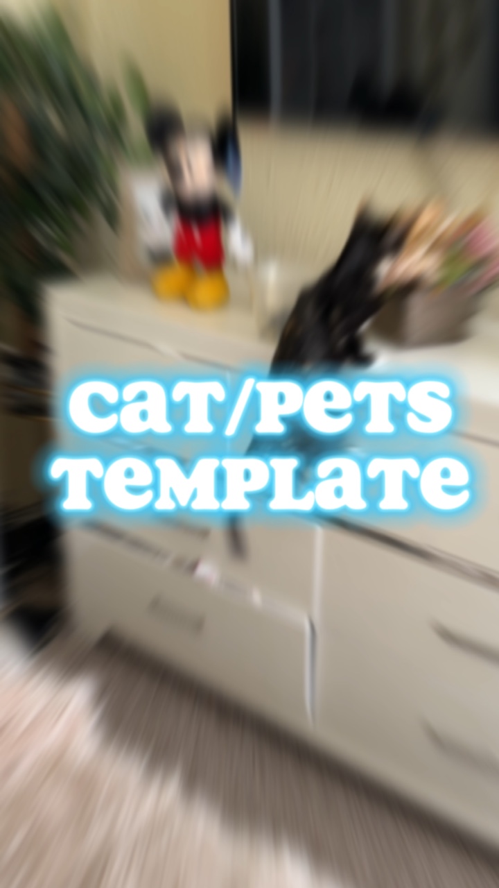 Plantilla de Gato / Perro / Mascota
