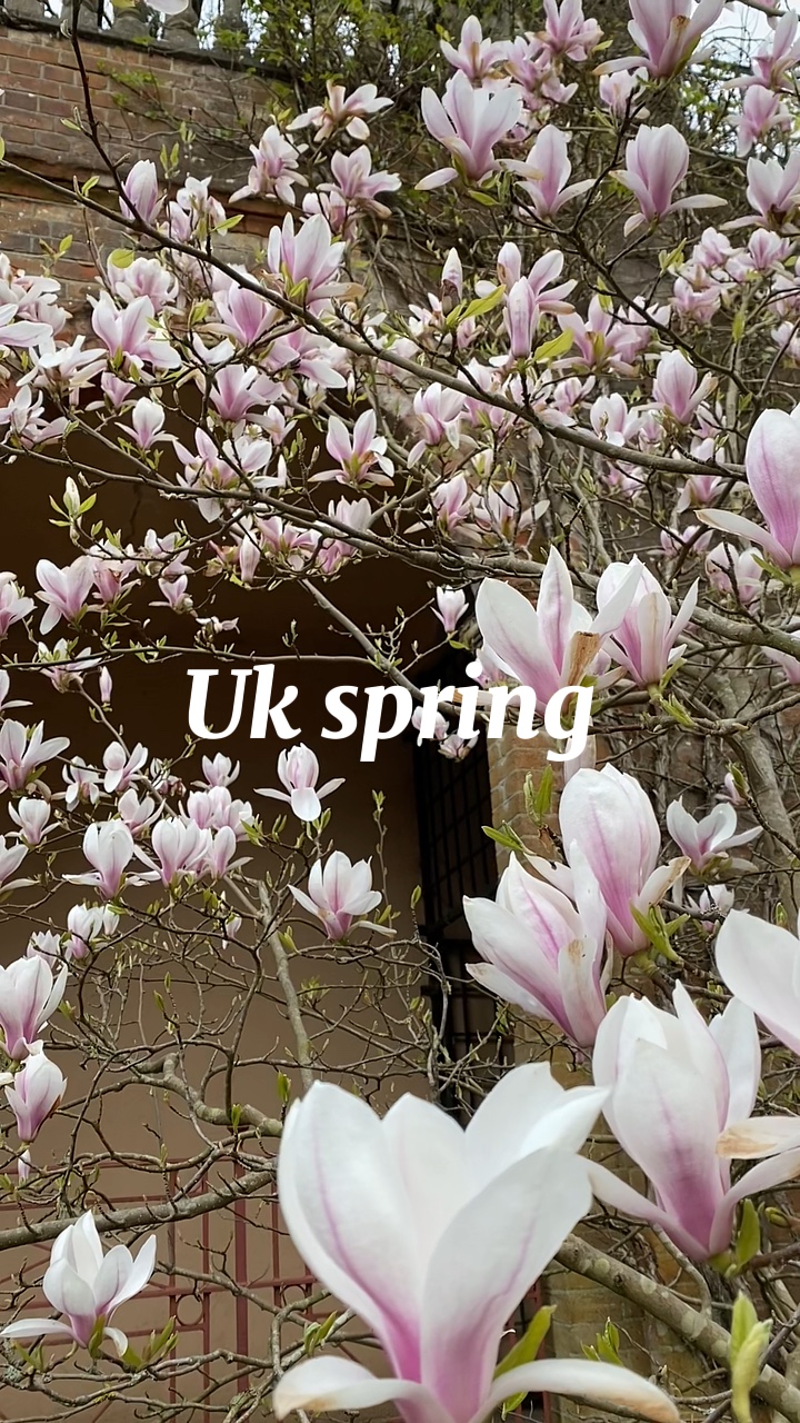Frühling 🌸
