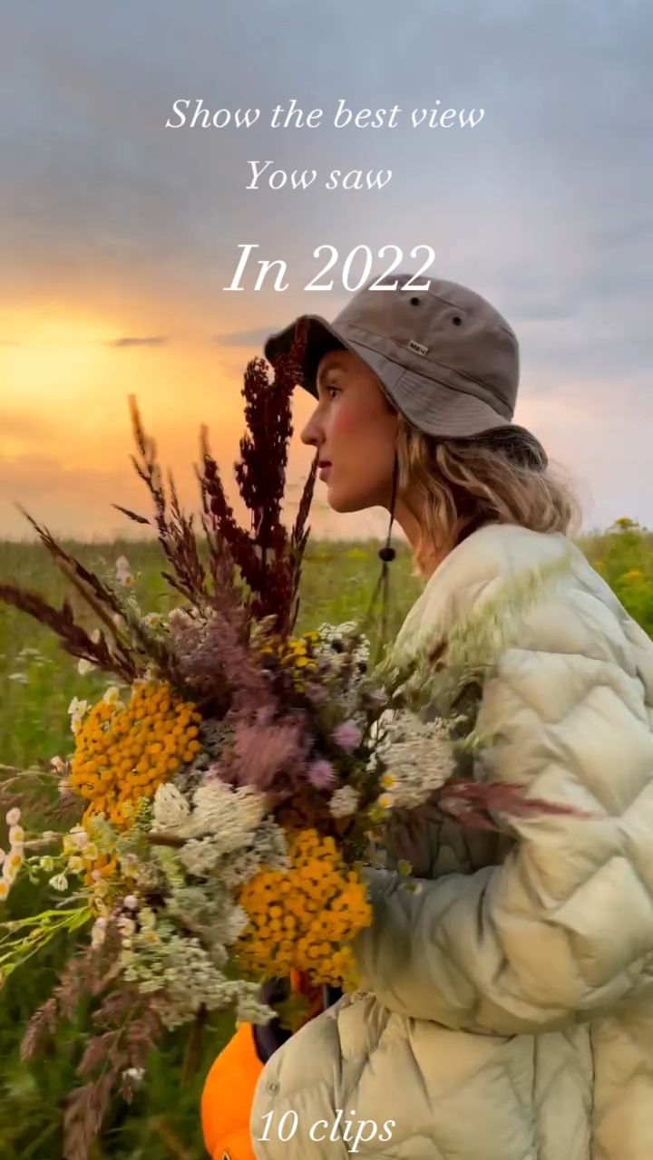 Meilleure vue en 2022