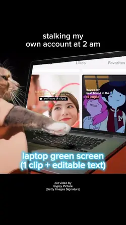 🐱💻 green screen