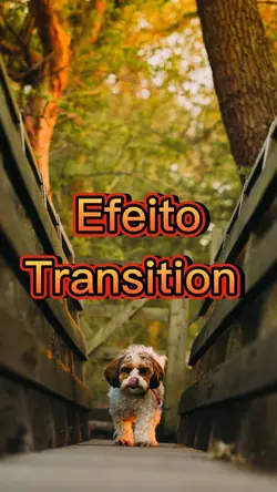 Efeito Transition  
