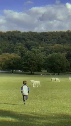 Green Aesthetic