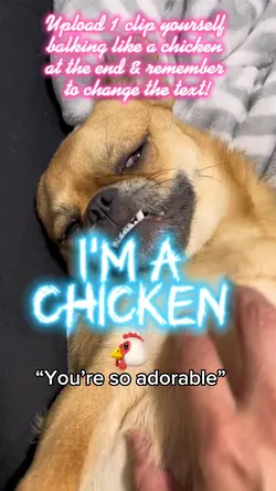 I’m a Chicken 