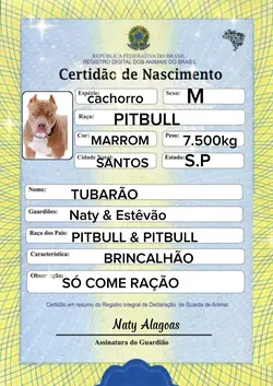 documento pet