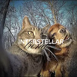 interstellar