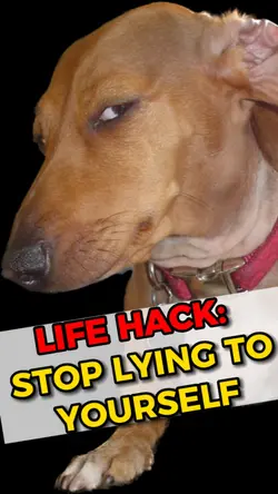 Lying Dog Meme 👀🤫