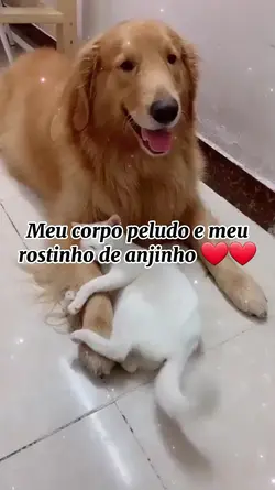 Foto do seu pet 