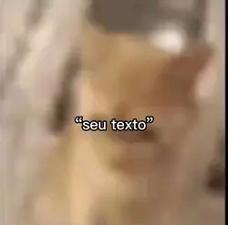 seu texto