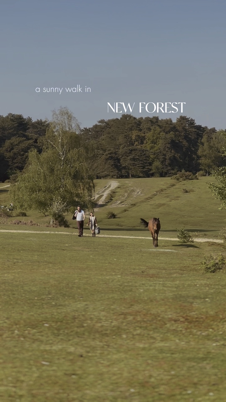 Forest Walk