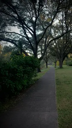 Relaxing with nature