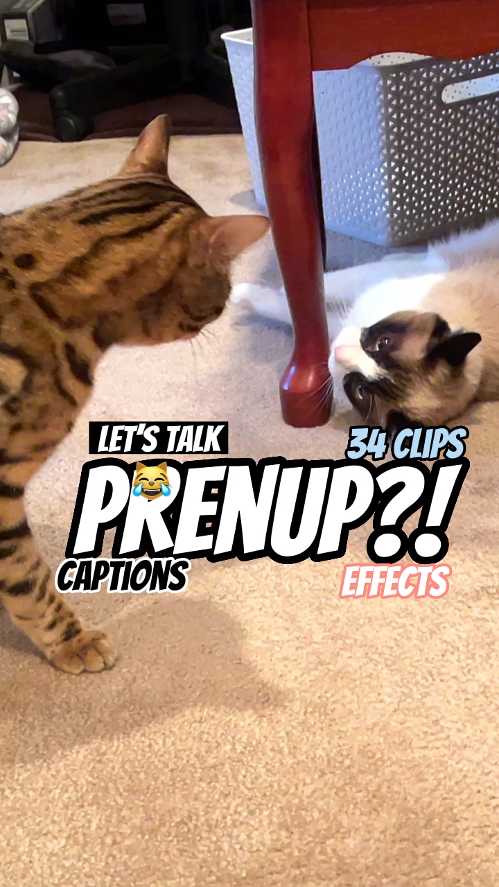 Prenup?!