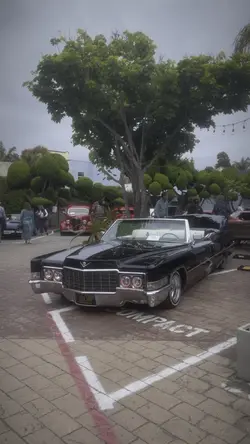 Cars ๐