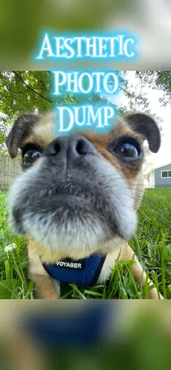 Aesthetic Photo Dump