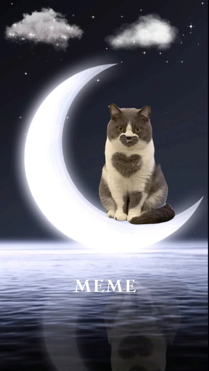 Moon