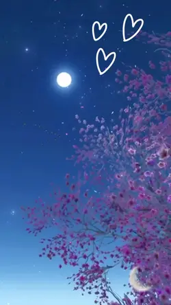 boa noite meu amor 