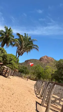 A vibe que eu amo ❤️‍🩹