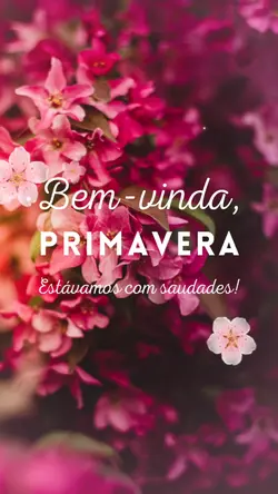 Primavera chegou